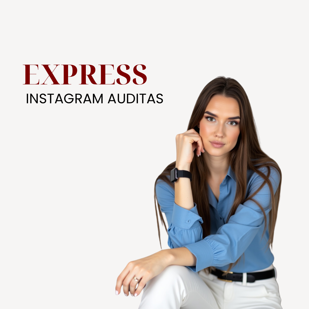 Instagram paskyros analizė balsu per 30–40 min